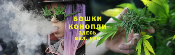 стаф Козельск
