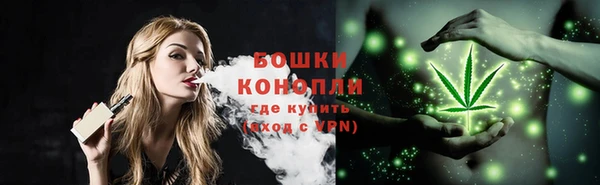 стаф Козельск