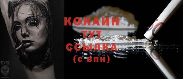 стаф Козельск
