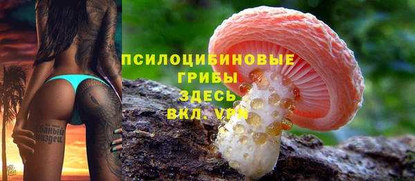 скорость Коряжма