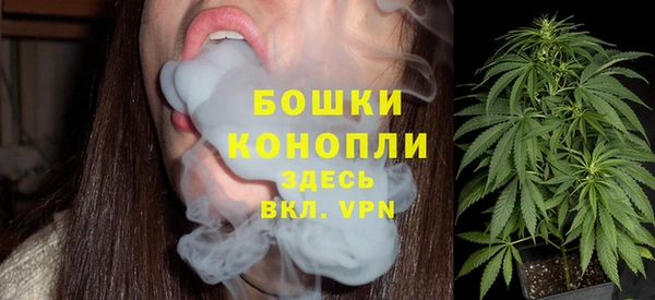 стаф Козельск