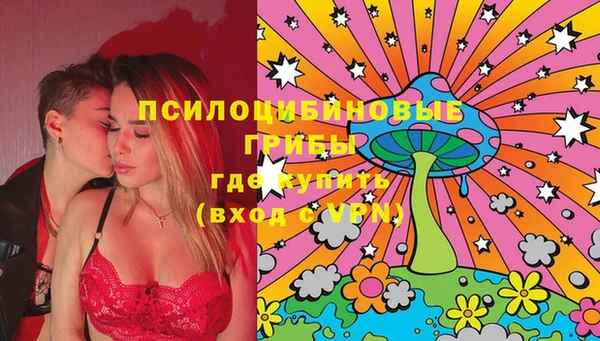 бошки Корсаков